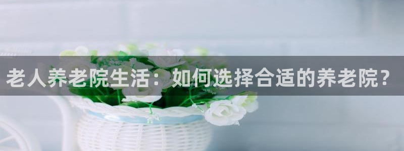 韦德1946体育官方入口