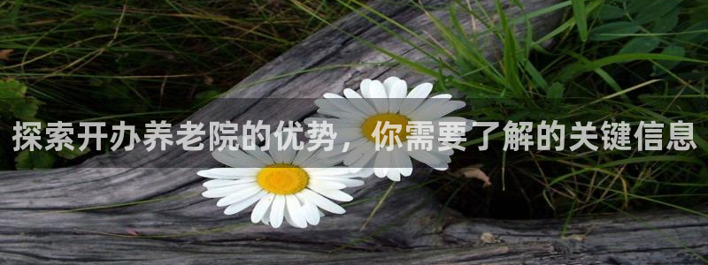 韦德1946娱乐手机版