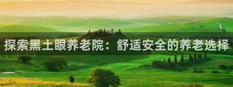 韦德事件