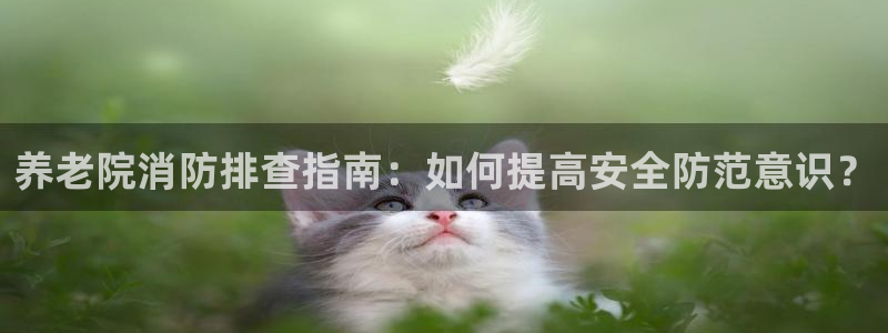 韦德官网在线