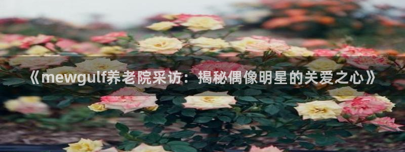 韦德 网址