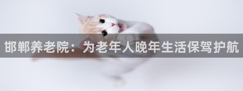 韦德1946下载