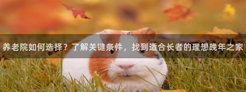 韦德8月22日开启中国行