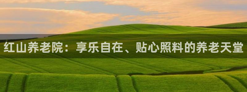 韦德是哪一届