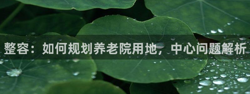 韦德betvlctor1946