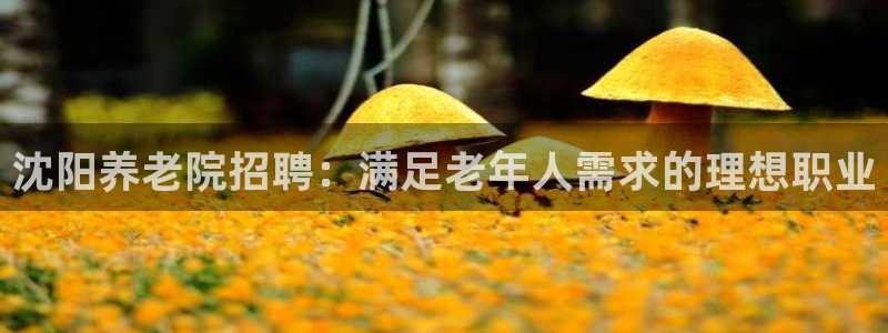 韦德国际1946官网