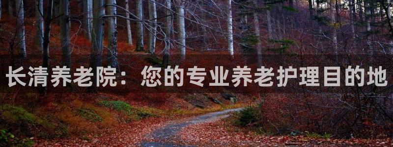 韦德1946客户端