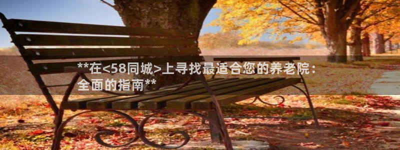 韦德1946游戏