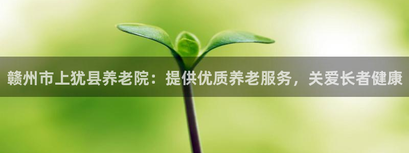 韦德官方网址大全