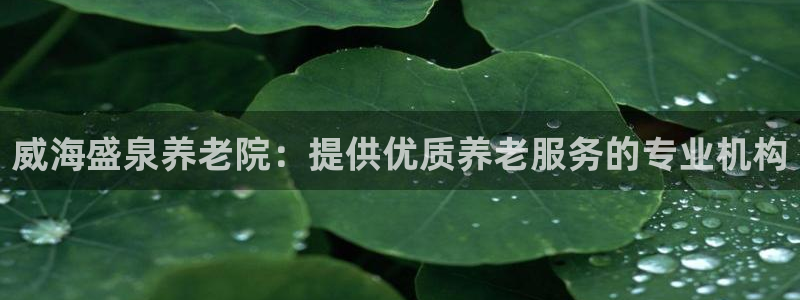 韦德1946国际