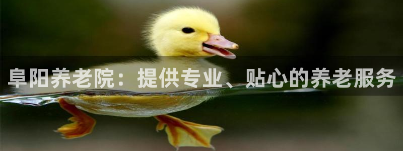 韦德1946国际娱乐