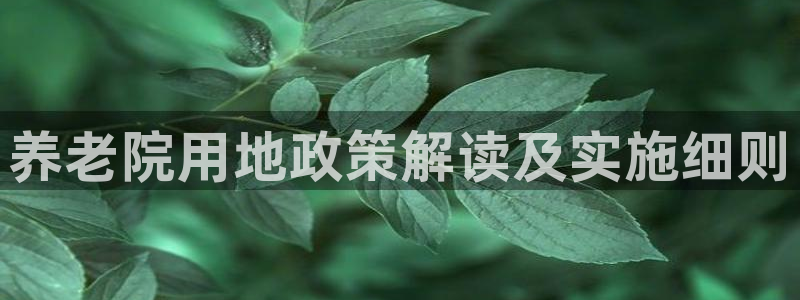 韦德1946娱乐手机版