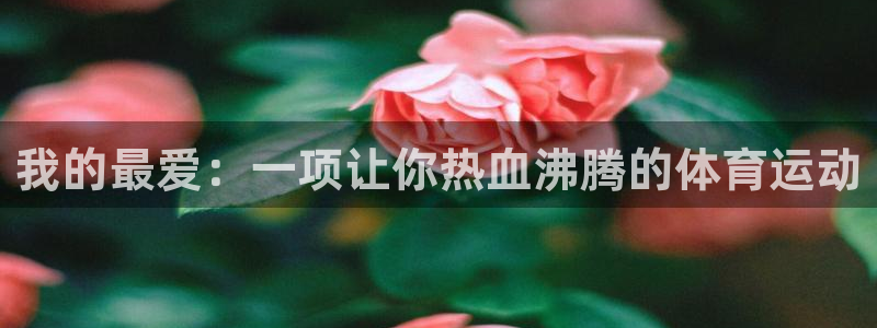 77体育app下载官网：我的最爱：一项让你热血沸腾的体育运动