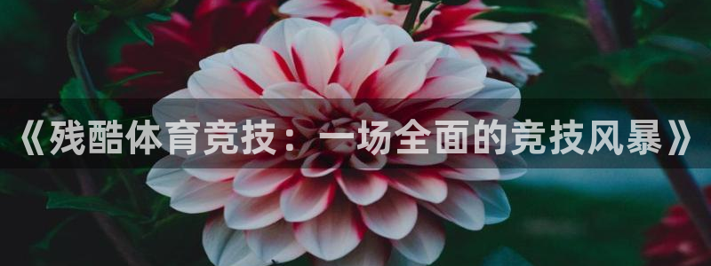 77体育官网：《残酷体育竞技：一场全面的竞技风暴》