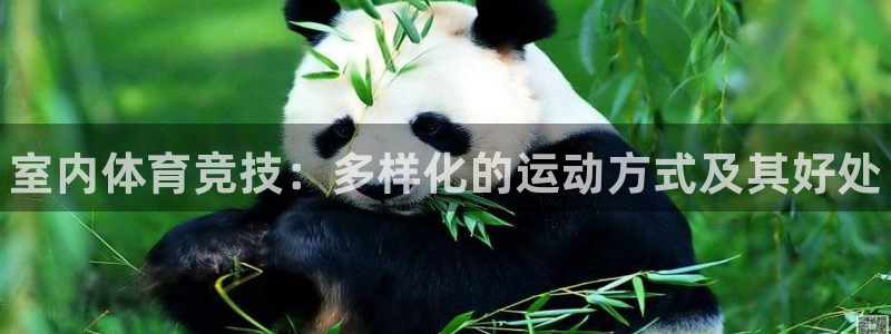 77体育官网：室内体育竞技：多样化的运动方式及其好处