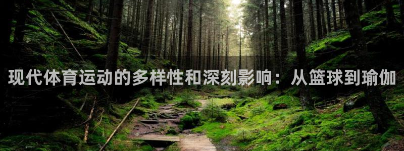 77体育官网：现代体育运动的多样性和深刻影响：从篮球到瑜伽