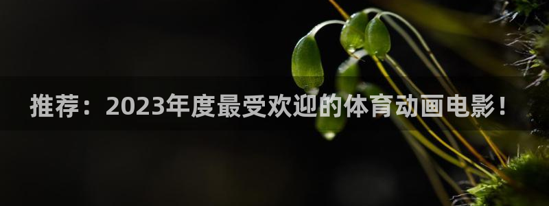 77体育app下载官网：推荐：2023年度最受欢迎的体育动画电影！