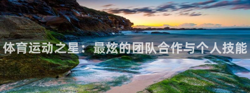77体育app下载官网：体育运动之星：最炫的团队合作与个人技能