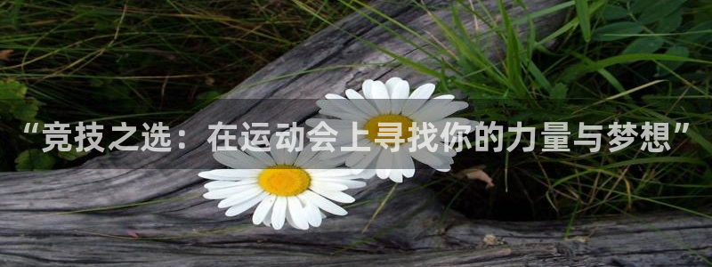 77体育：“竞技之选：在运动会上寻找你的力量与梦想”