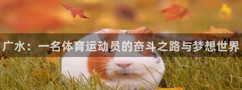 77体育app下载官网：广水：一名体育运动员的奋斗之路与梦想世界