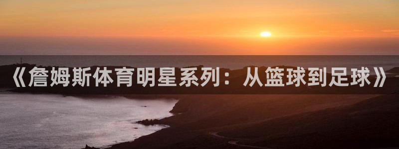 77体育app下载官网：《詹姆斯体育明星系列：从篮球到足球》