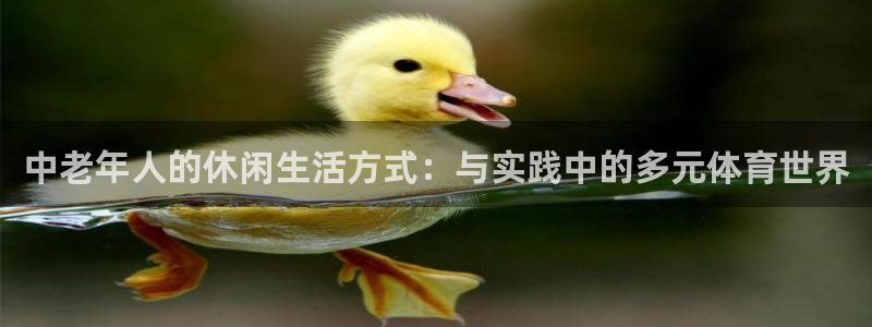 77体育官网：中老年人的休闲生活方式：与实践中的多元体育世界