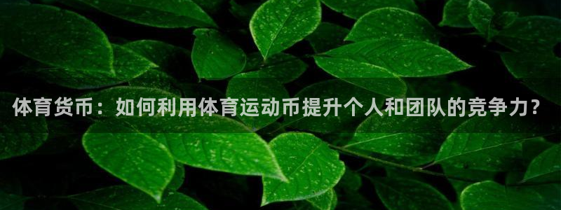 77体育官网：体育货币：如何利用体育运动币提升个人和团队的竞争力？