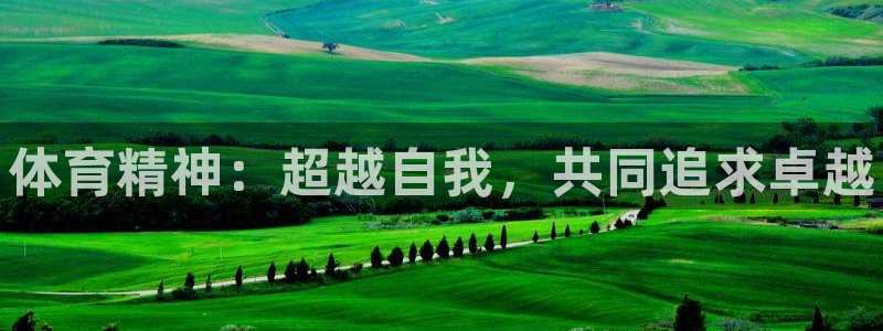 77体育：体育精神：超越自我，共同追求卓越