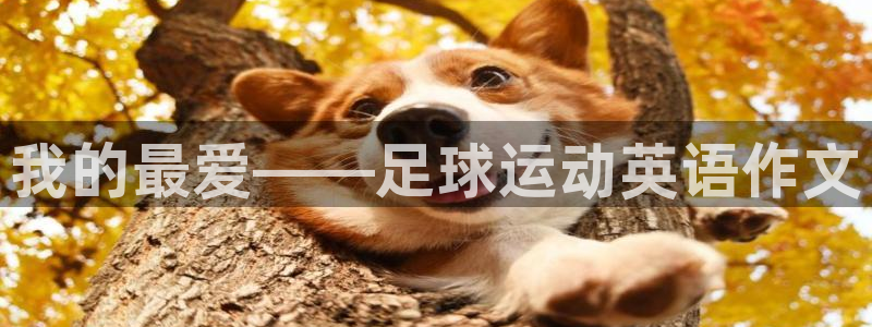 77体育官网：我的最爱——足球运动英语作文