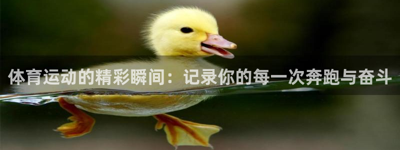 77体育官网：体育运动的精彩瞬间：记录你的每一次奔跑与奋斗