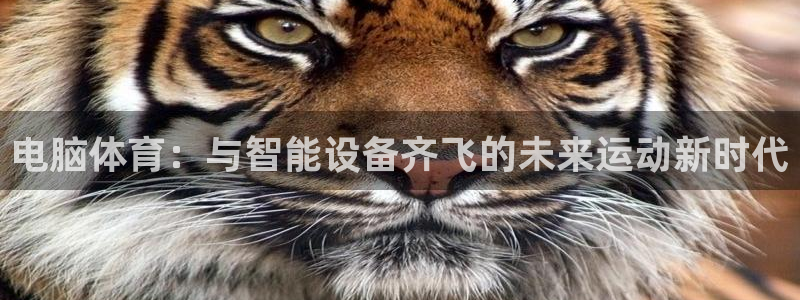 77体育app下载官网：电脑体育：与智能设备齐飞的未来运动新时代