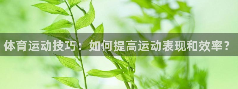 77体育：体育运动技巧：如何提高运动表现和效率？