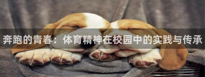 77体育app下载官网：奔跑的青春：体育精神在校园中的实践与传承